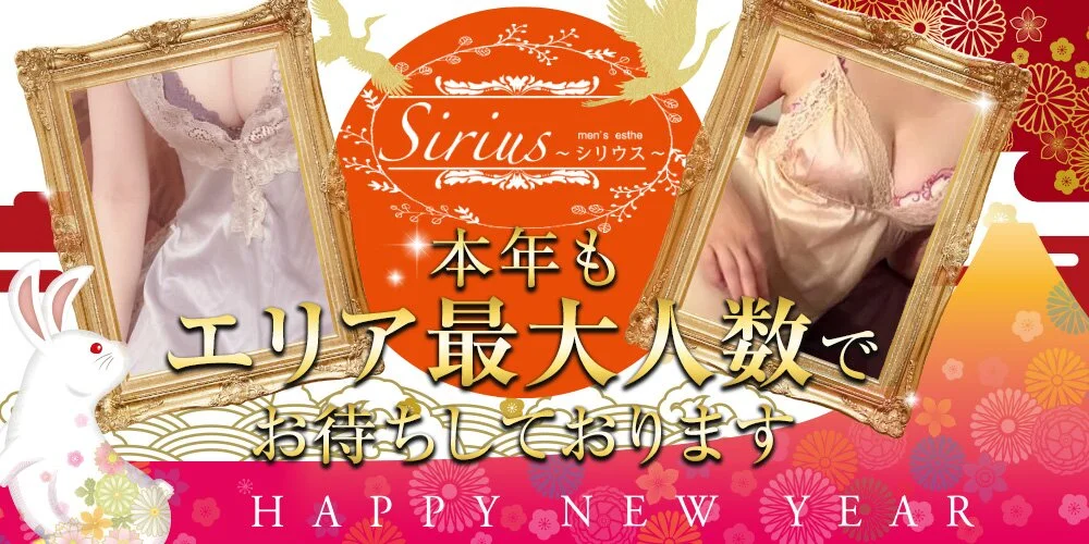 Sirius 〜シリウス〜様の制作実績