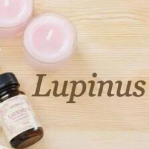 Lupinus（ルピナス）のメッセージ用アイコン