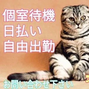 隠れ家えすて　猫時計のメッセージ用アイコン