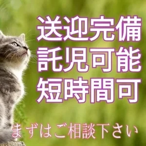 隠れ家えすて　猫時計のメッセージ用アイコン