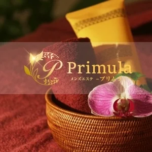 プリムラ三河のメッセージ用アイコン