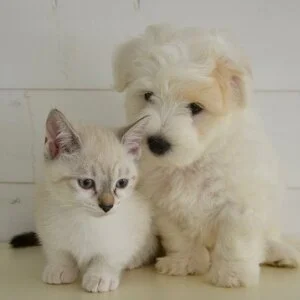 LuxurySpa 天空海～アクア～北24条ルームのメッセージ用アイコン