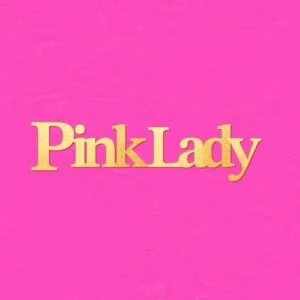 Pink Lady (ピンクレディー)のメッセージ用アイコン
