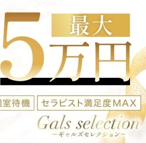 gal's selection〜ギャルズセレクション〜のメッセージ用アイコン