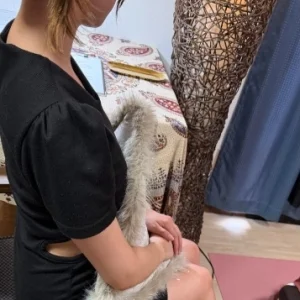 Baccarat-バカラ-山口店のメッセージ用アイコン