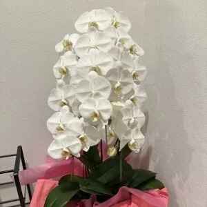 メンズサロン SHENRONのメッセージ用アイコン