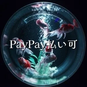 金魚妻 千歳・苫小牧店のメッセージ用アイコン