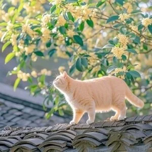 リラクゼーションサロン スパシーバ津のメッセージ用アイコン