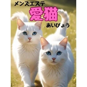 愛猫のメッセージ用アイコン