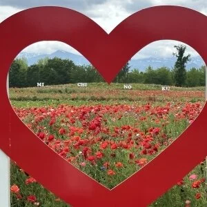 Aroma Sweetsのメッセージ用アイコン