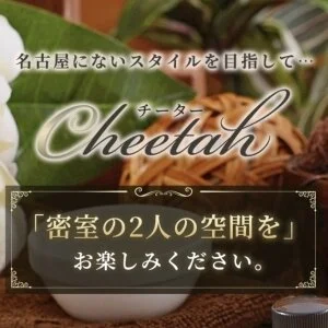 Cheetah〜チーターのメッセージ用アイコン