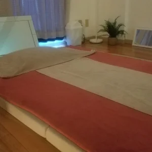 〜秘密の部屋〜 Leaのメッセージ用アイコン